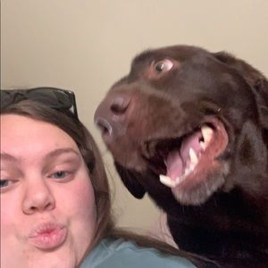 Meet your Posher, Sydney